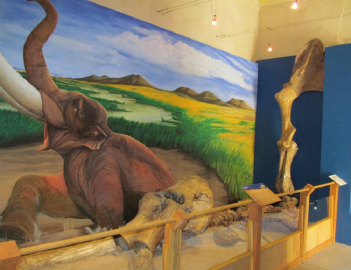 El Museo Histórico Regional, ubicado en el centro histórico de Ensenada estará abierto durante todo el periodo vacacional.