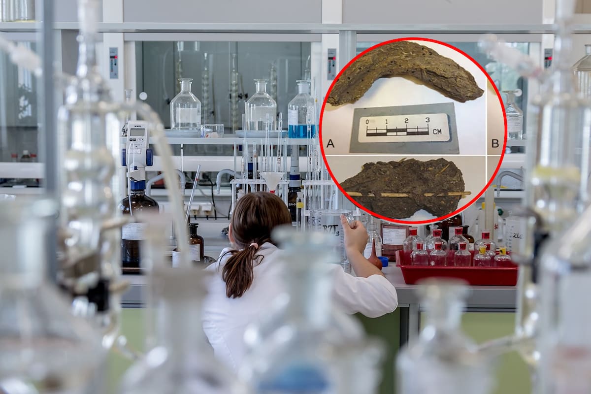 Descubren en una cueva de México, heces de hace 1,300 años que revelan infecciones intestinales