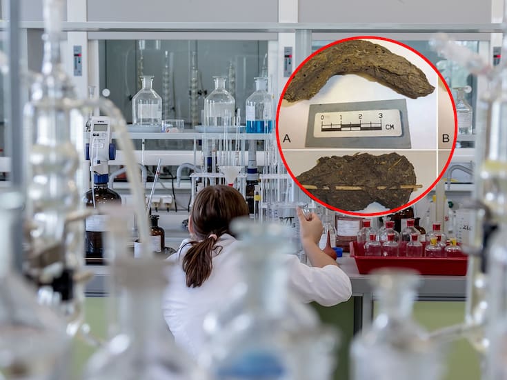 Descubren en una cueva de México, heces de hace 1,300 años que revelan infecciones intestinales