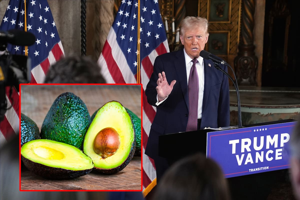 Estos son los productos de México más exportados a EU, y así podría afectar la “guerra de aranceles”