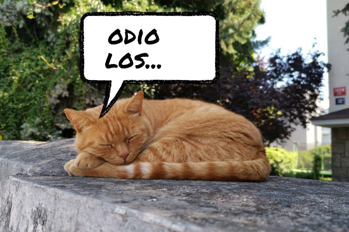 La ciencia revela cuál es el día más difícil de la semana