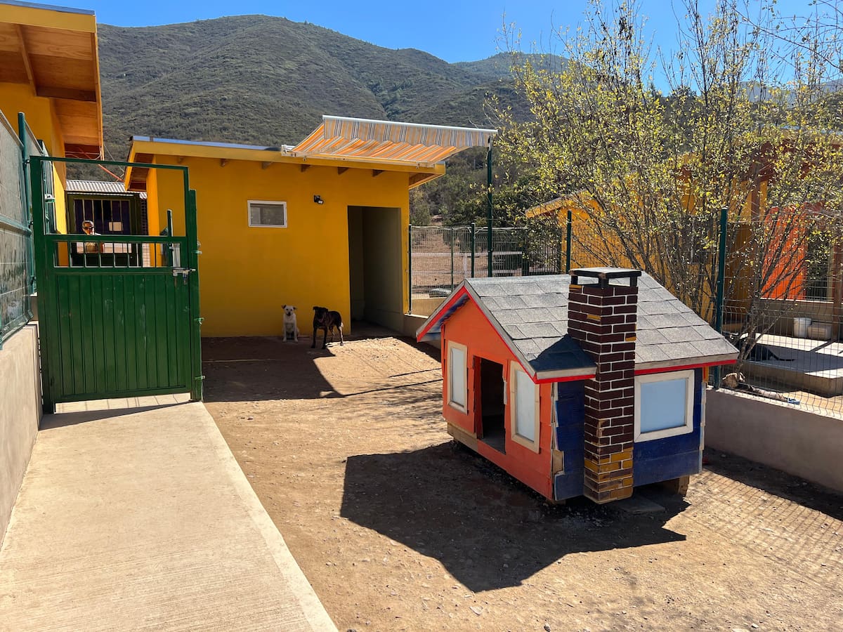 Hoy el espacio alberga más de 120 perros, además de dos caballos y un cerdito, que convive con una de las villas caninas. Foto: Leonardo González