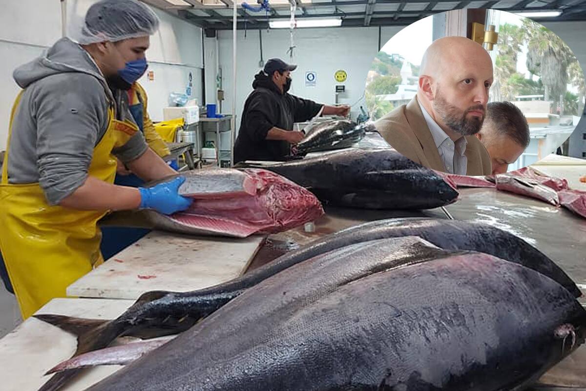 Teme Canainpesca disminuya consumo de productos