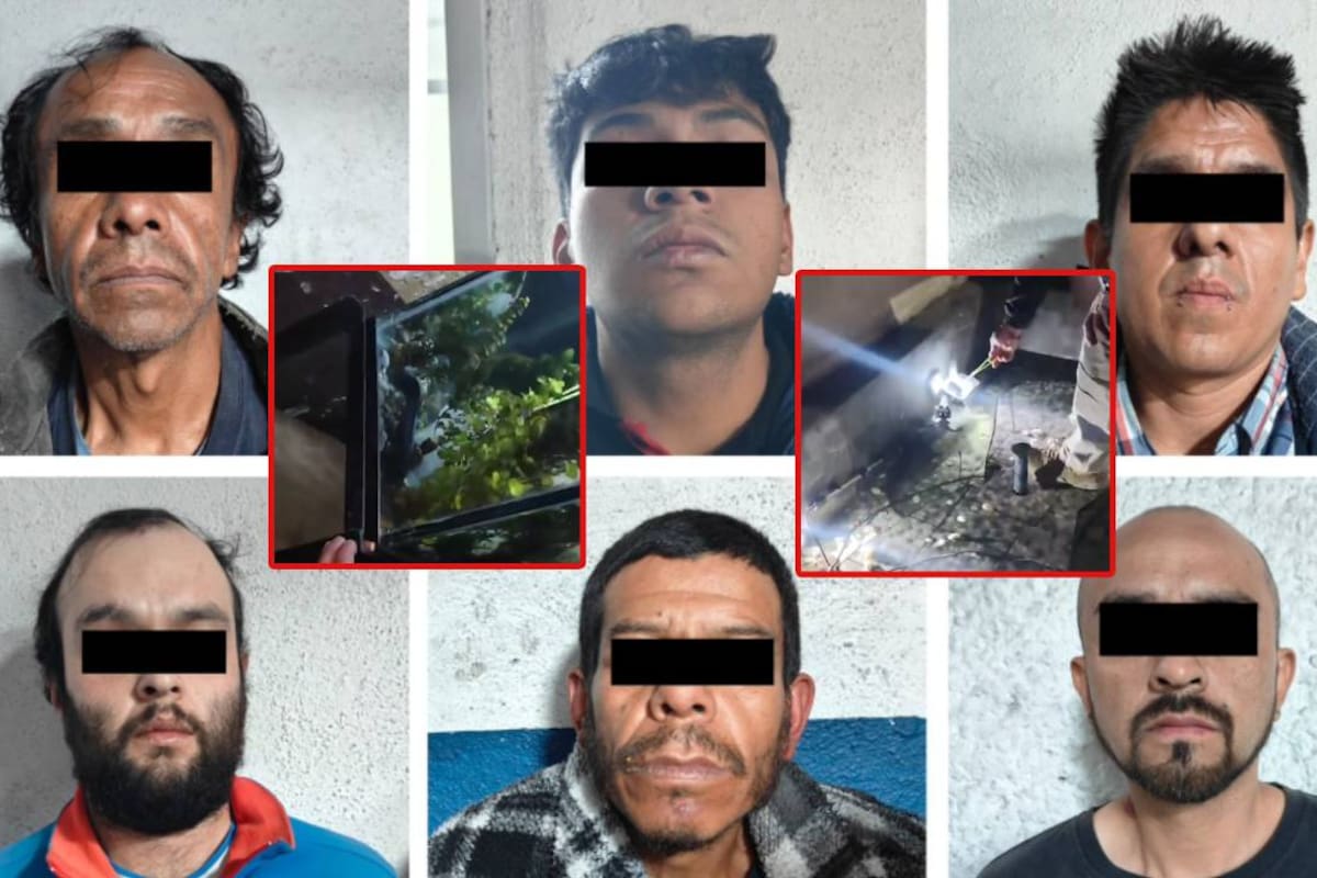 Cocodrilos, ajolotes e iguana incautan a una célula de narcomenudeo en CDMX; ejemplares fueron trasladados a instalaciones especializadas en Xochimilco