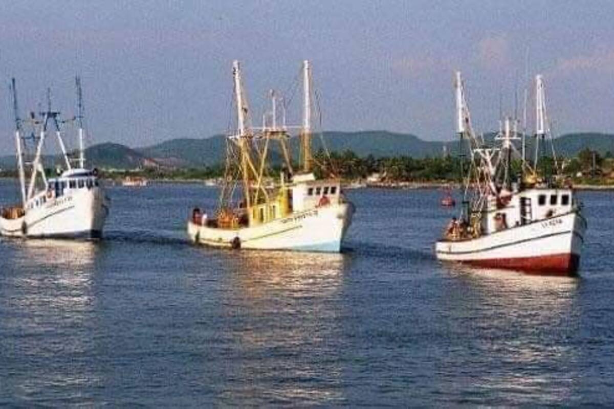 Zarpan a la búsqueda del camarón el 40% de los barcos de Guaymas