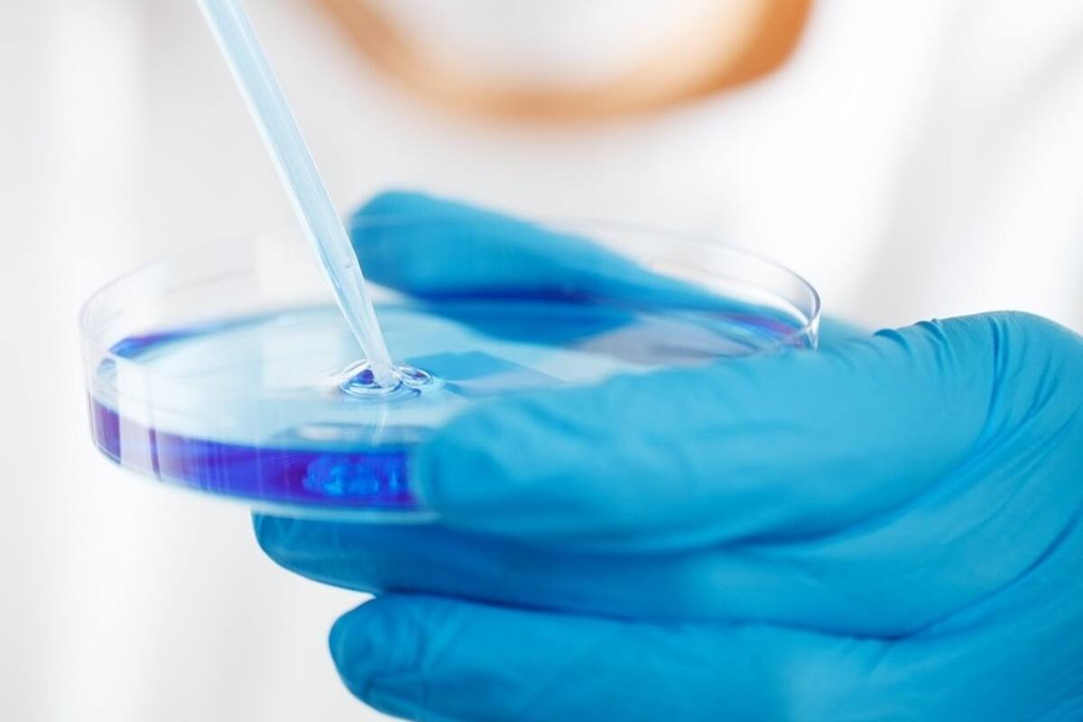 Intentarán producir células madre en microgravedad en la EEI