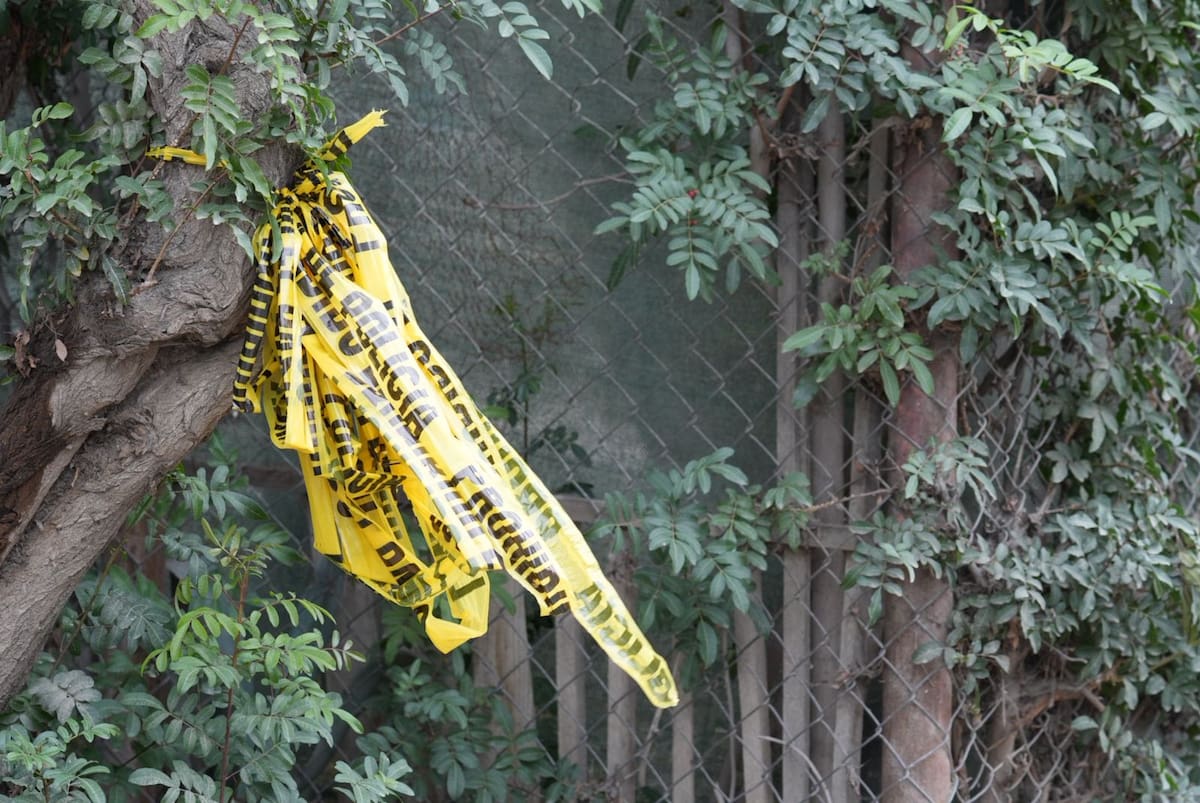 Foto: Leonardo González