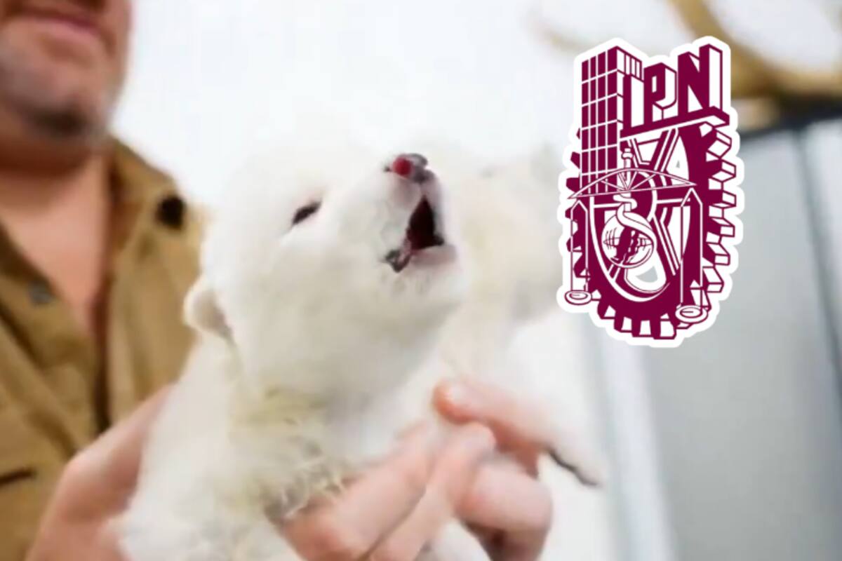 Científicos del IPN advierten sobre riesgos éticos y biológicos tras revivir a lobos terribles