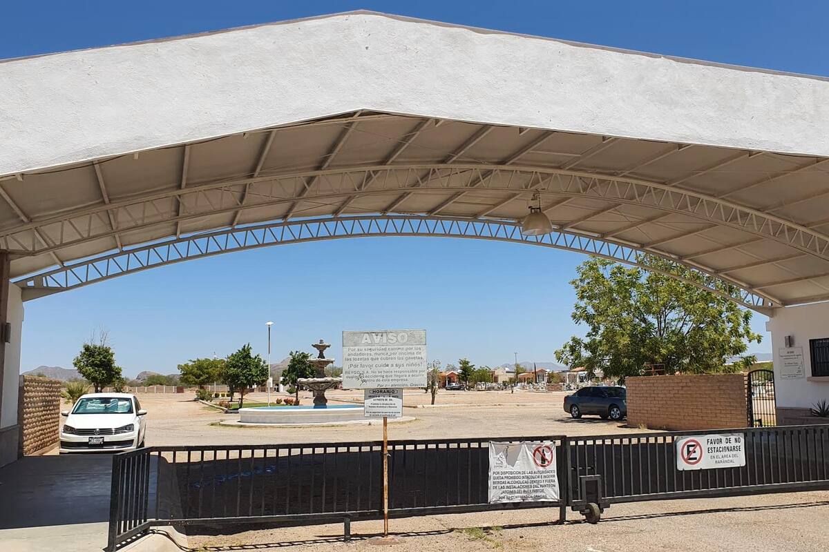 Pican abejas a personas en el panteón Jardines del Buen Pastor de Hermosillo