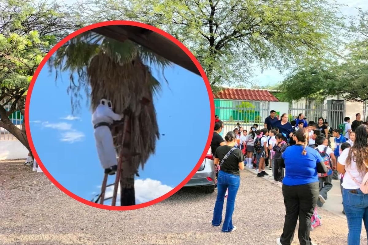 Retiran panales de avispas y abejas tras protesta en Primaria Jesús García del ejido El Tronconal