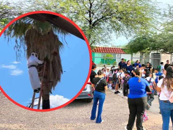 Retiran panales de avispas y abejas tras protesta en Primaria Jesús García del ejido El Tronconal