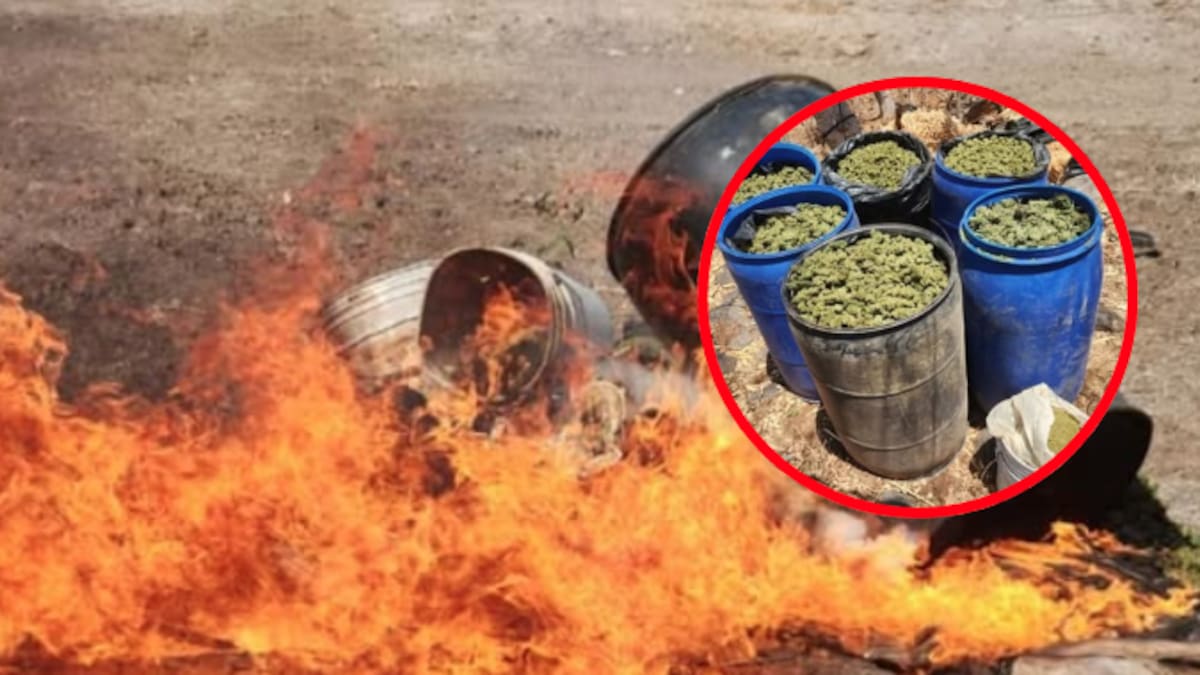 Irregularidades en la Fiscalía: más de 5,000,000 de dosis de fentanilo sin destino claro y graves fallas en incineración de drogas, revela informe del Órgano Interno de Control