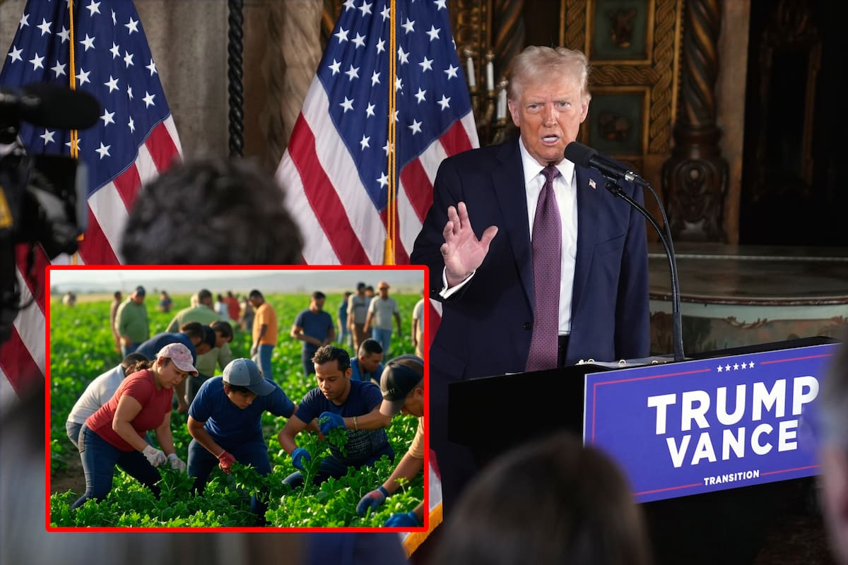 ¿Por qué Donald Trump no quiere a los migrantes pero en EU les siguen dando trabajo?