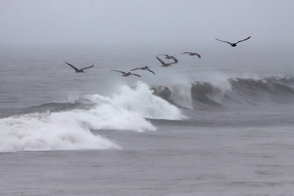 Alertan sobre alto oleaje