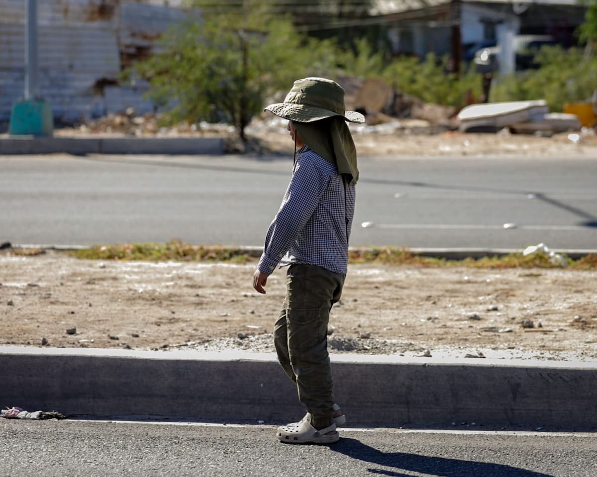 Foto. Javier Gallegos