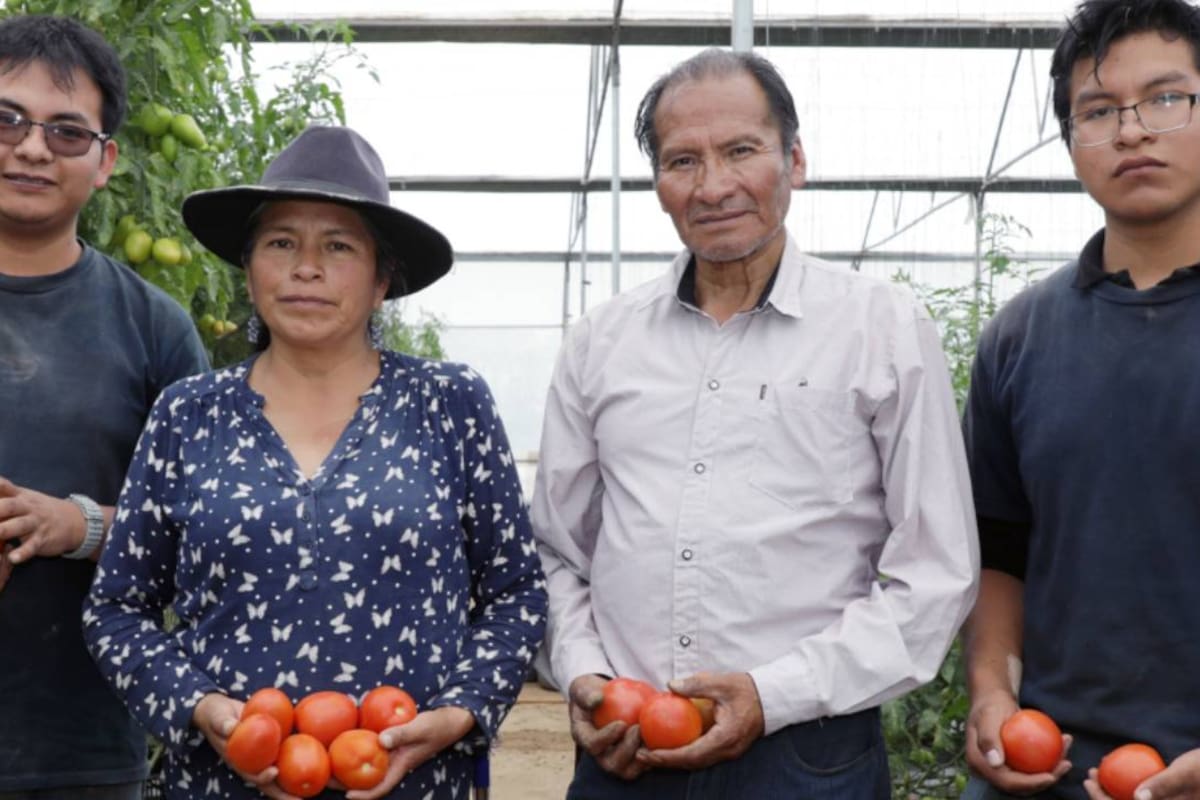 El gobierno de Edomex destinó 15mpd para apoyar a emprendedores y mejorar su negocio: Estos son los giros y sectores que pueden participar