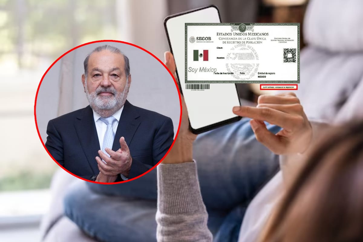 Desde casa y sin batallar, así podrás registrar tu celular paso a paso junto a la CURP para evitar que el Gobierno de Claudia Sheinbaum pueda bloquear tu teléfono