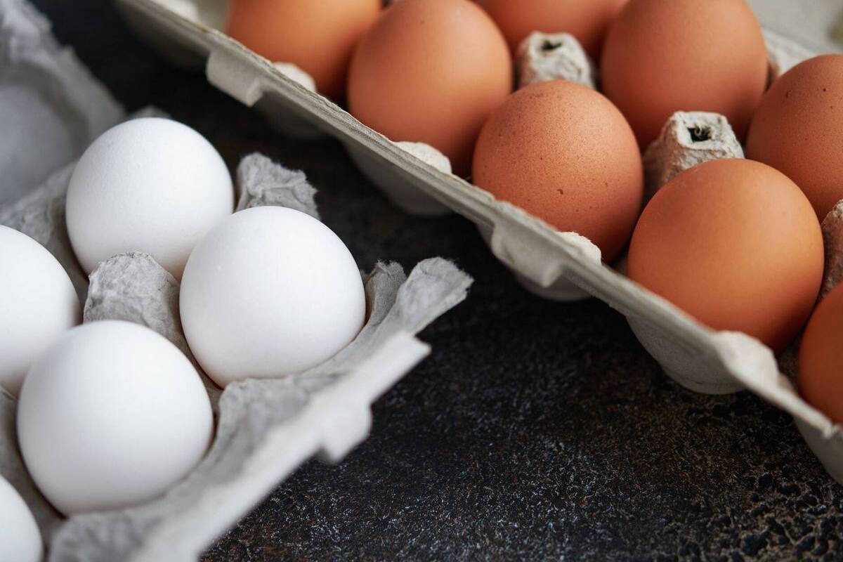 ¿Cuántos huevos se pueden comer a la semana según los expertos y cuáles son sus beneficios para la salud?