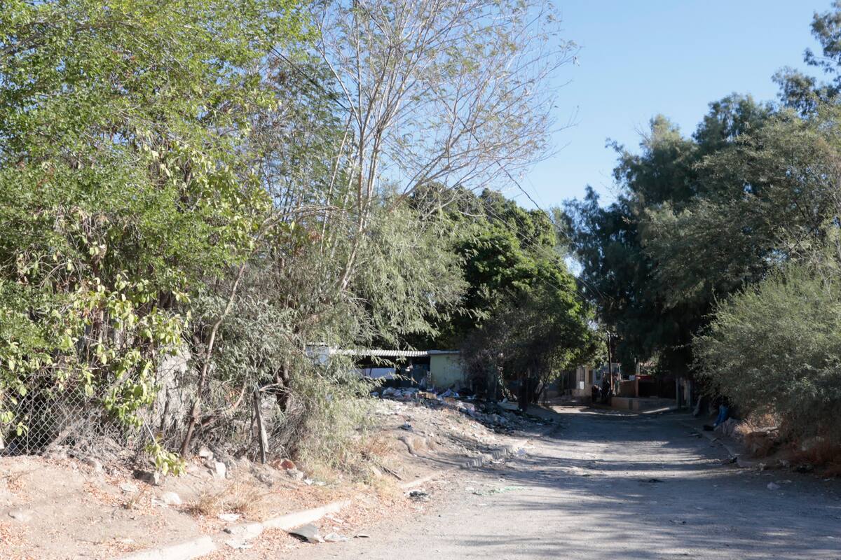 Quema de basura y vandalismo afectan en Hacienda de la Flor de Hermosillo