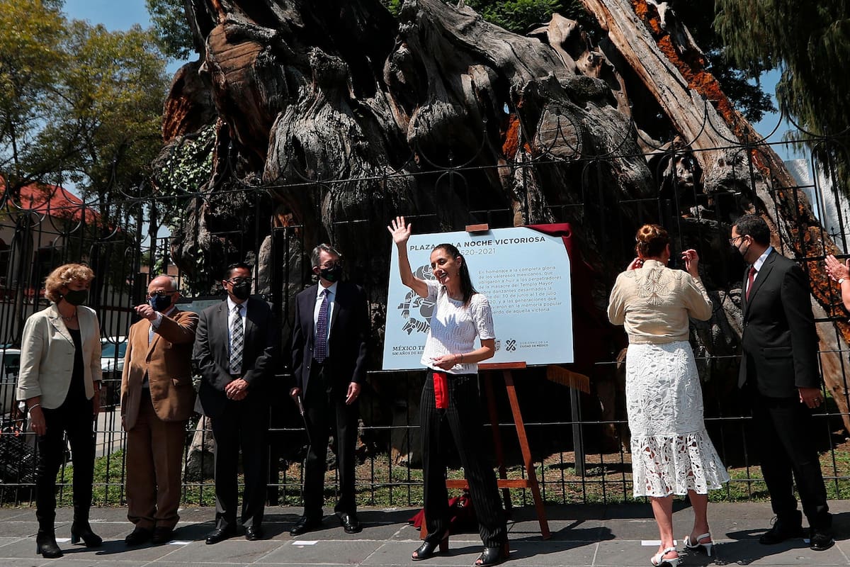 De Noche Triste a "victoriosa": El paso de Hernán Cortés por CDMX sufre giro empezando con histórico árbol