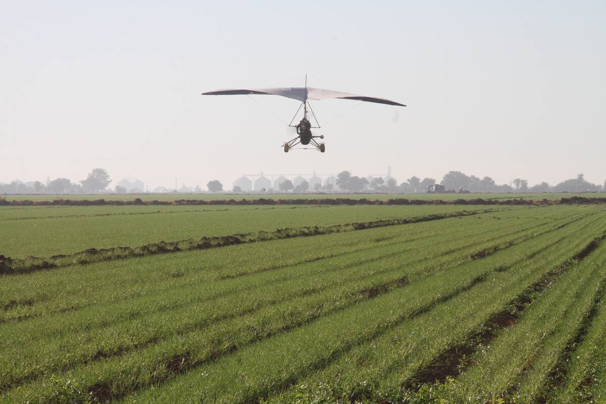 Requiere el agro de Sonora más recursos en presupuesto de 2021: Estado