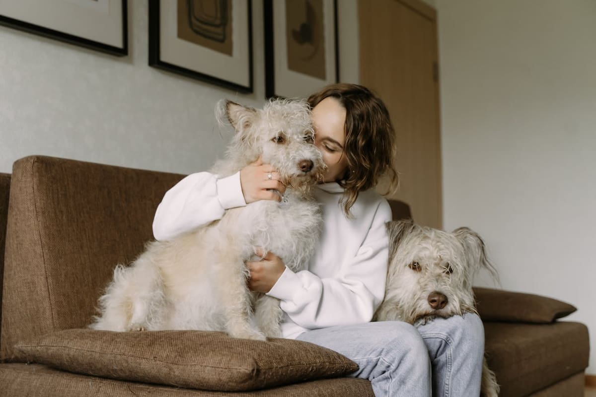 ¿Rentar una vivienda con mascotas es un reto? Esto reveló encuesta