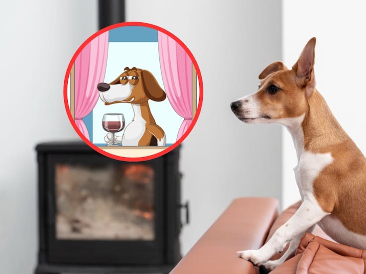 ¿A tu perro le gusta el chisme? Esto dice la ciencia