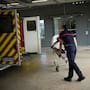 Ola de calor en Europa habría provocado al menos 12 mil muertes adicionales en junio