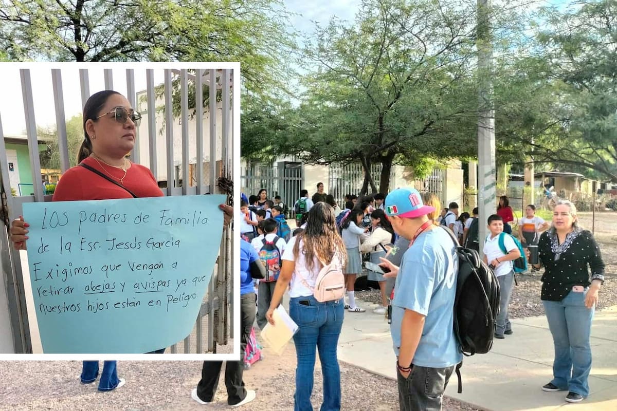 Padres protestan por presencia de avispas y abejas cerca de escuelas en ejido El Tronconal de Hermosillo