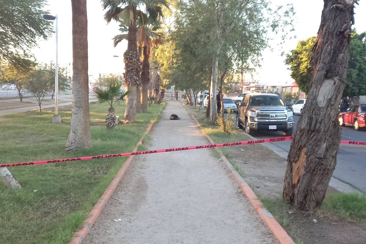 Matan a tres hombres en quince horas