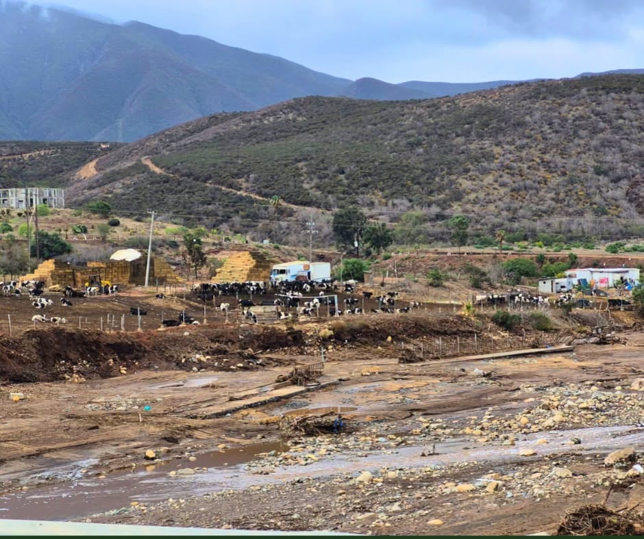 La tormenta Rachel inundó parcelas y dañó infraestructura agrícola en Maneadero, donde productores reportan pérdidas millonarias. Foto: Cortesía