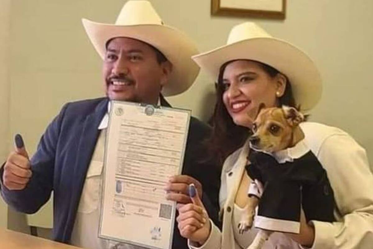 Perrito chihuahua “firma” como testigo en boda de sus dueños