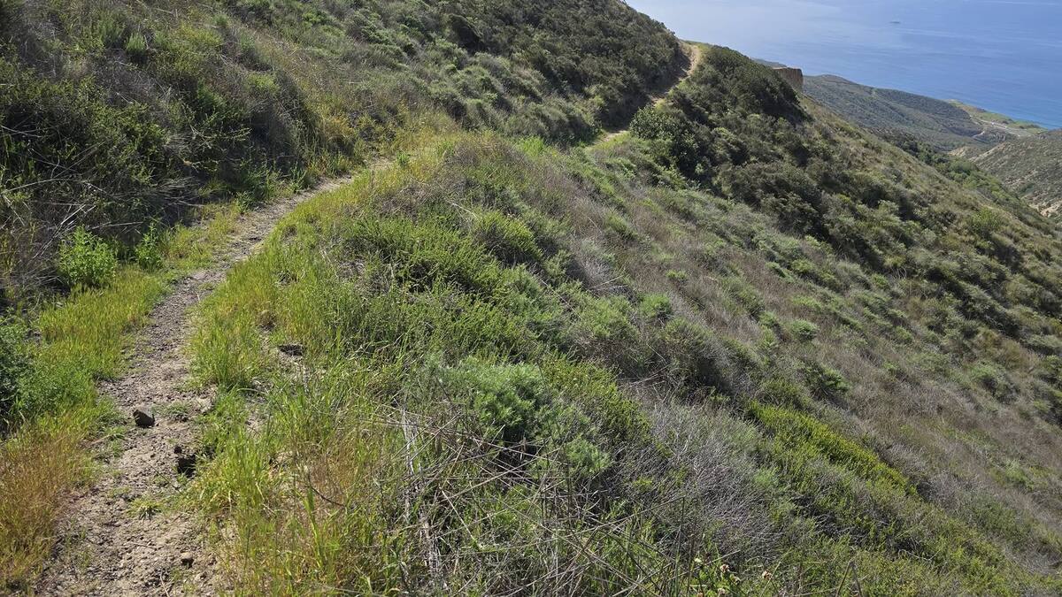 Avanza bypass Tijuana-Ensenada; pero opinión de los ciudadanos deberá ser tomada en cuenta: SEI