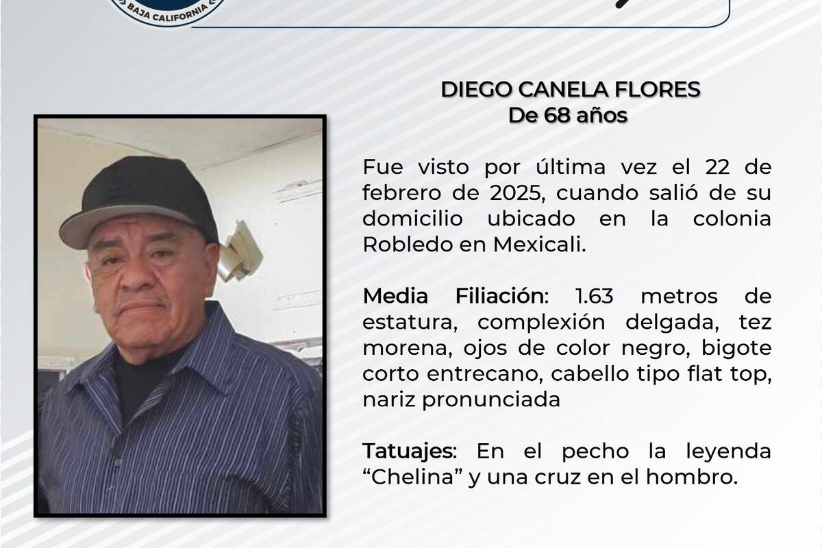 Pesquisa de Diego Canela Flores
