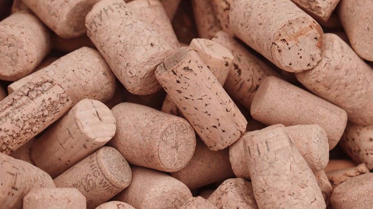 Antes de tirar los corchos, conoce 7 ideas prácticas para reciclarlos, reducir residuos y crear objetos útiles que pueden ahorrarte dinero en decoración y organización
