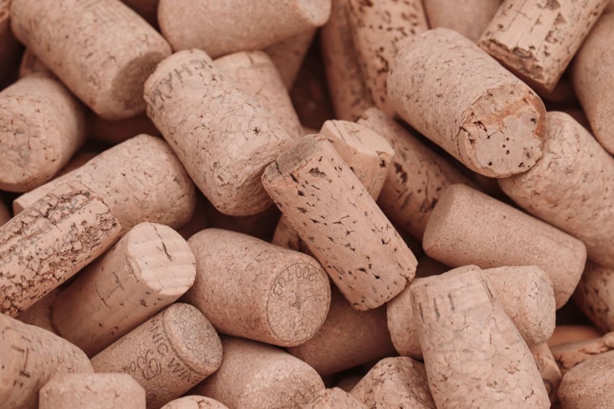 Antes de tirar los corchos, conoce 7 ideas prácticas para reciclarlos, reducir residuos y crear objetos útiles que pueden ahorrarte dinero en decoración y organización