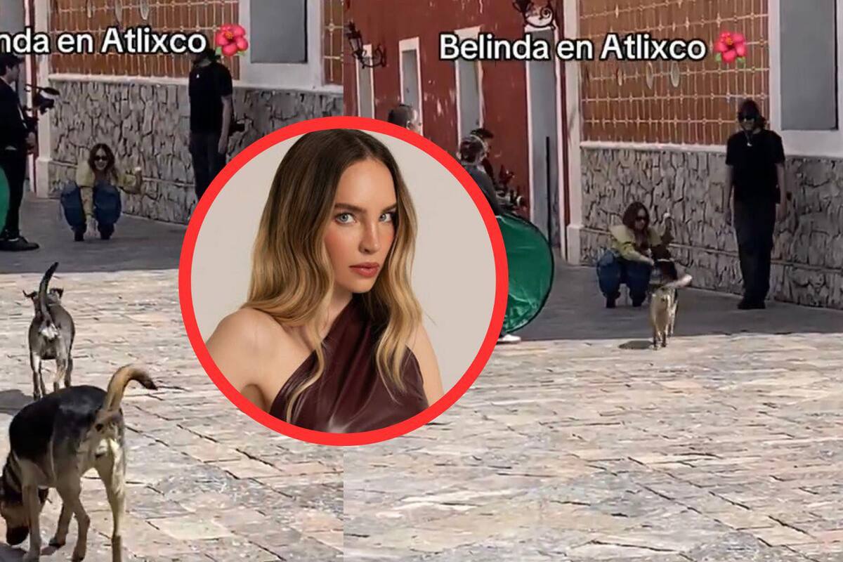 VIDEO: El tierno gesto que tuvo Belinda con perritos callejeros