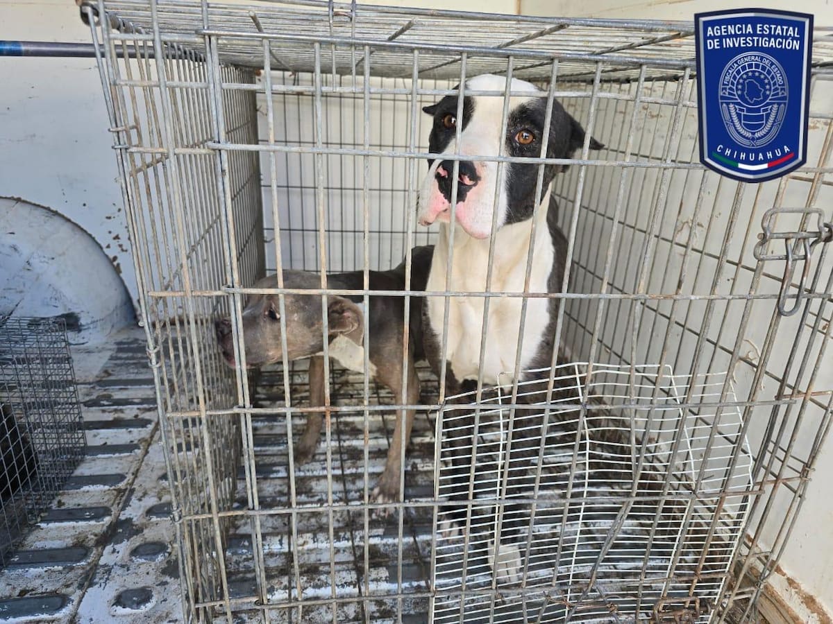 Foto: Fiscalía de Chihuahua.
