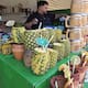 Denuncias por cobros de piñas coladas por 145 dólares en Ensenada afectaron a negocios de La Bufadora
