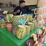 Denuncias por cobros de piñas coladas por 145 dólares en Ensenada afectaron a negocios de La Bufadora