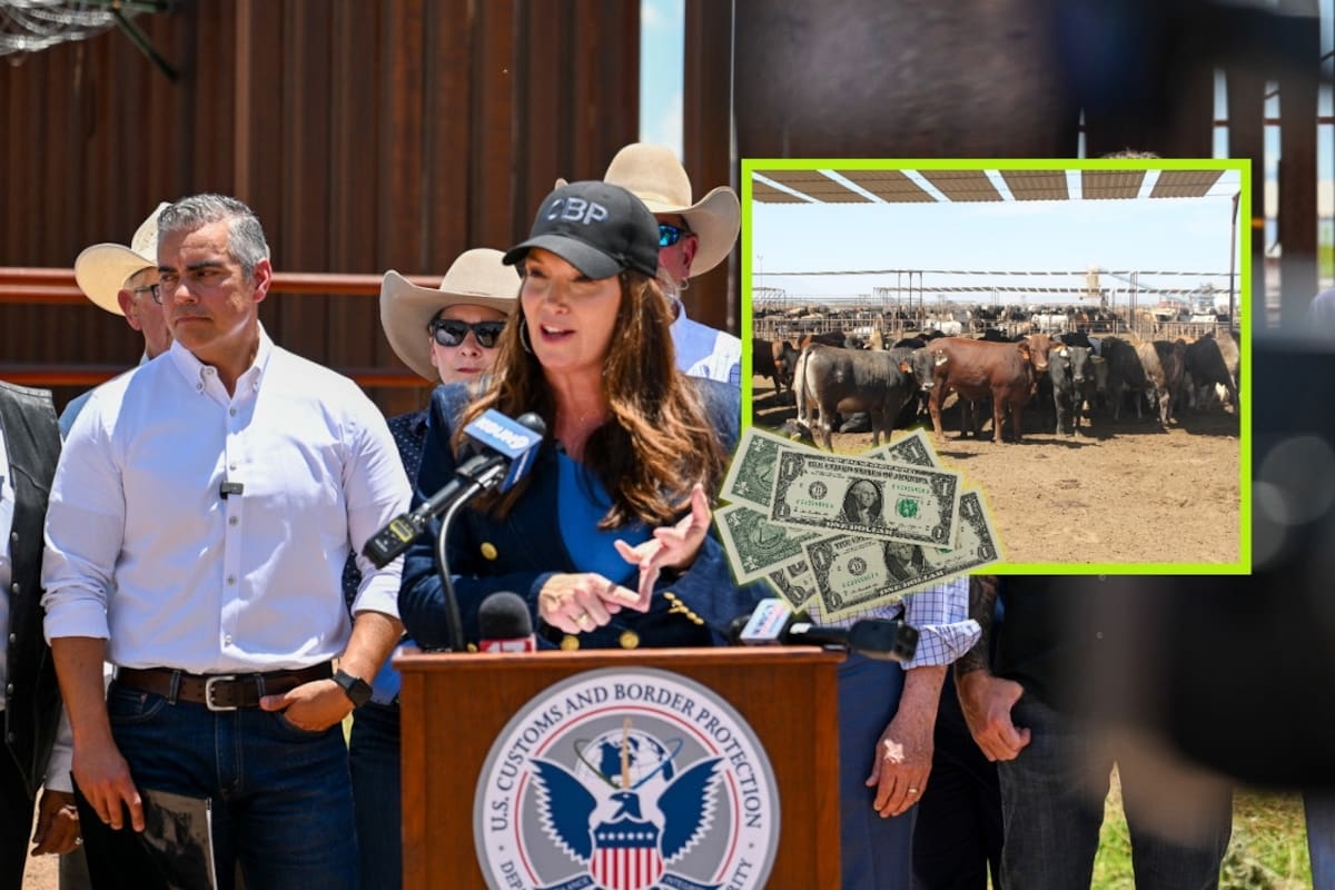 Estados Unidos invertirá 25 millones de dólares en una planta de moscas estériles en Douglas para frenar al gusano barrenador antes de reabrir el cruce de ganado de Sonora