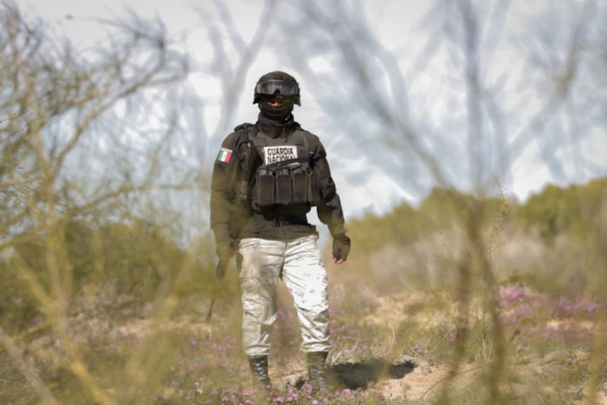 Localizan cuatro fosas en la Miguel Alemán