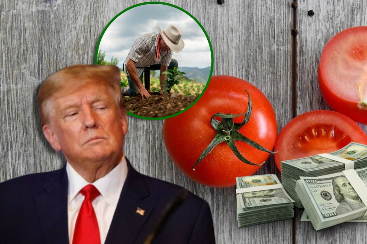 Estados Unidos anuncia arancel de 20.91% al tomate mexicano, aplicable a partir del 14 de julio