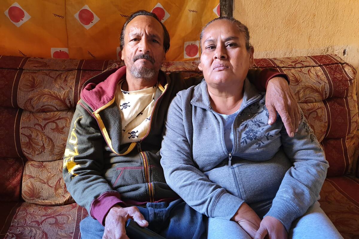 Se comunican con el lenguaje del amor