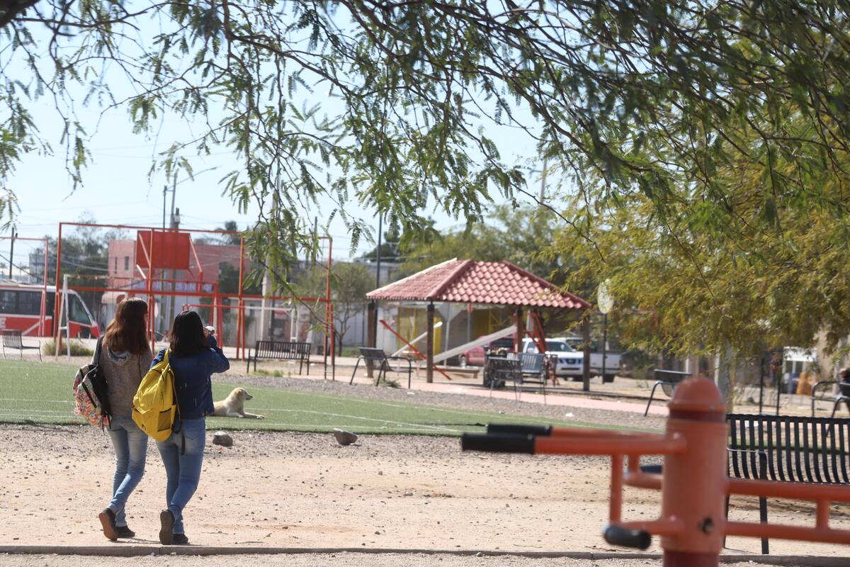 Piden vigilar alrededores del Cecyte Justo Sierra