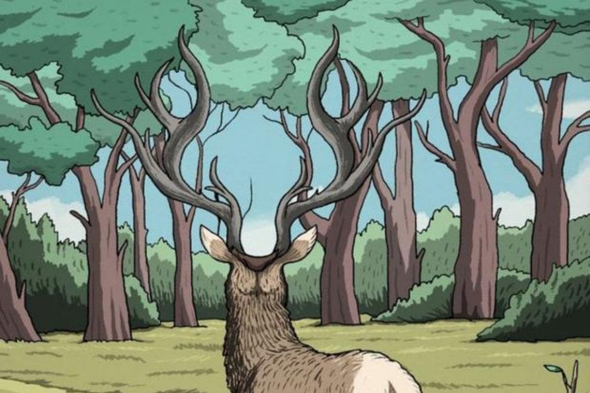 Reto visual: encuentra el animal oculto en la imagen