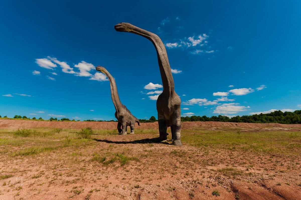 Chile identifica nueva especie de dinosaurios que habitó en el desierto de Atacama