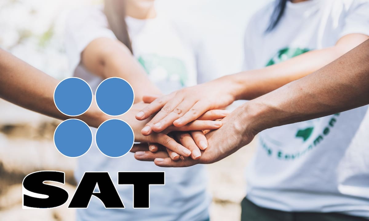 SAT revoca permiso para recibir donativos a 113 ONG: IMCO y México Evalúa pierden deducibilidad por falta de acreditación científica | Freepik