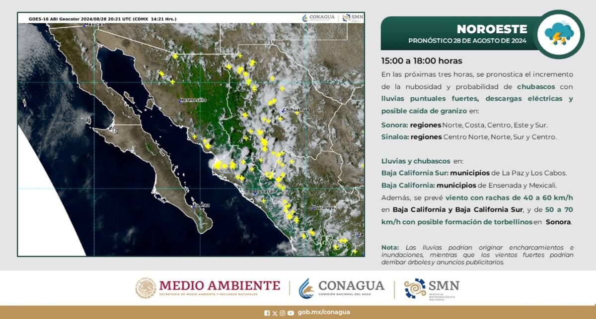 Mapa del pronóstico de lluvias en Sonora, de la Conagua.