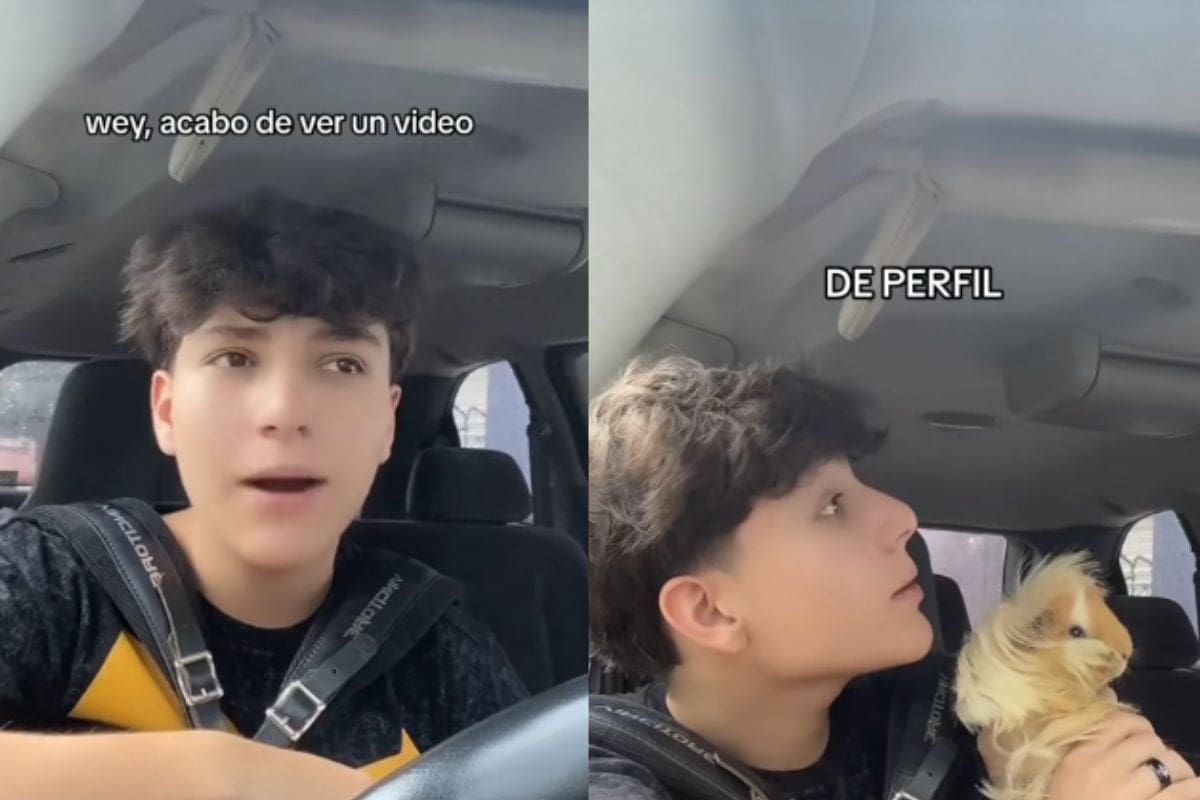 Tras ver el video de una mujer posando con su pato; tiktoker posa con su cuyo para ver si se parecen